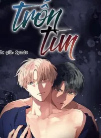 Trốn Tìm
